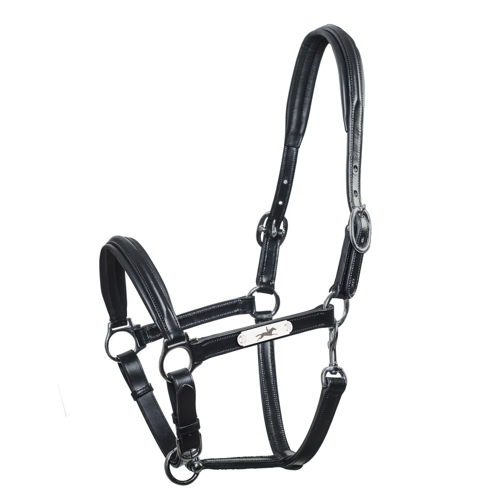 Ulm Pro Leather Halter