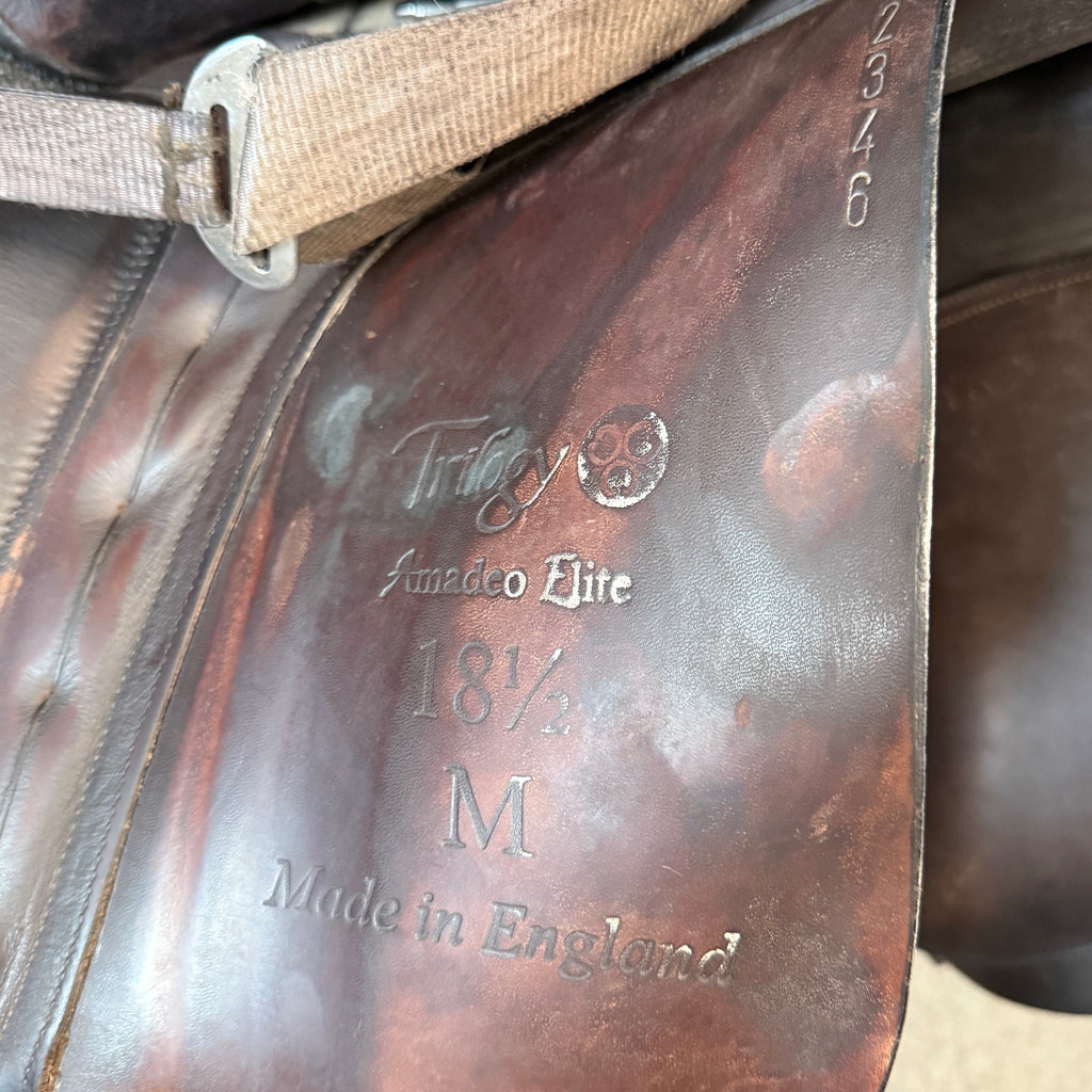 Used Trilogy Amadeo Elite 18.5" Dressage Saddle