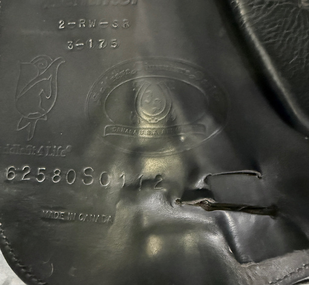 Used Schleese HK 17.5" Dressage Saddle