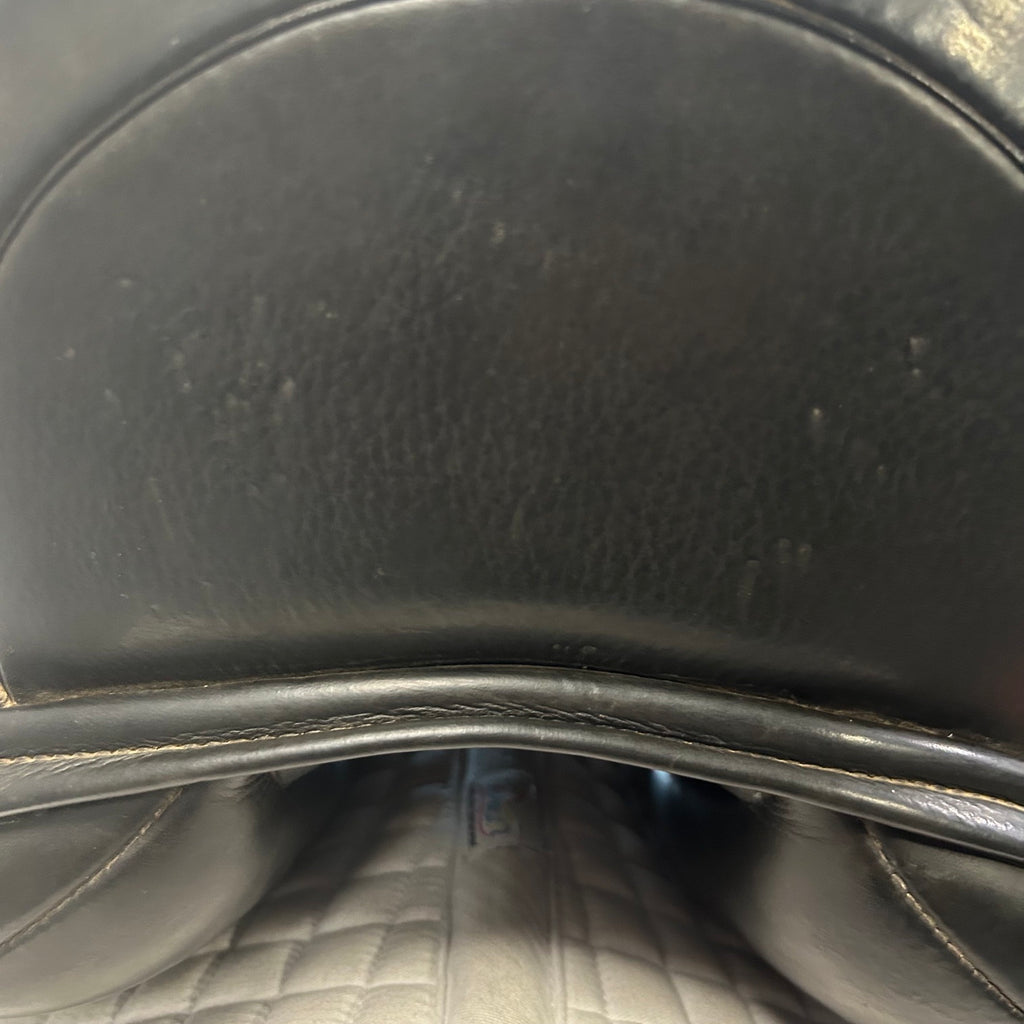 Used Schleese Triumph 18.5" Dressage Saddle