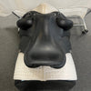 Used Antares Tempo 17