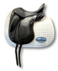 HOLD: Used Schleese Obrigado 17
