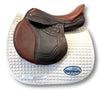 Used Schleese LightFlight 17.5