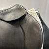 Used Schleese Eagle 17.5