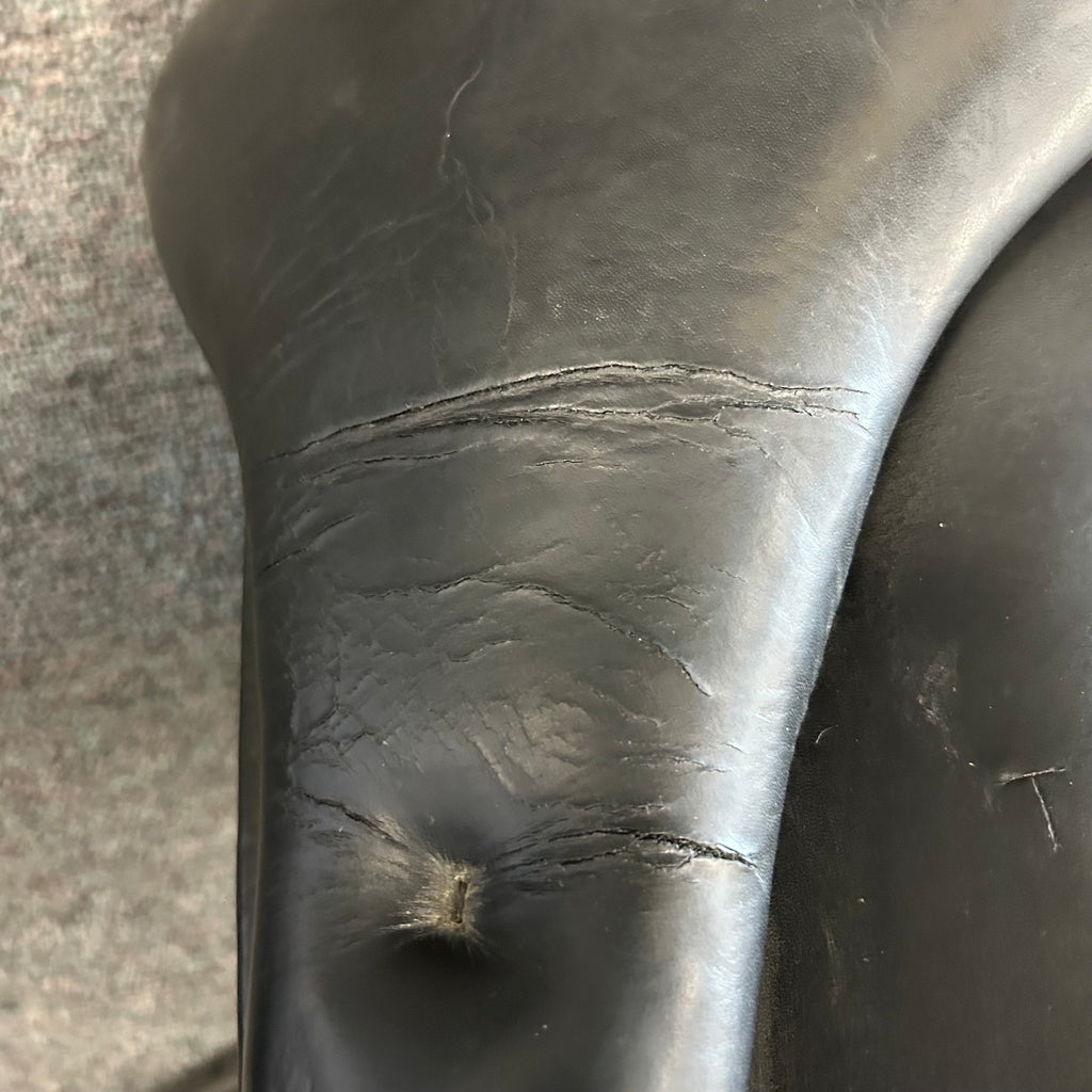 Used Schleese Triumph 18.5" Dressage Saddle