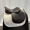 Used Schleese Eagle 17.5