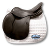 Used Schleese Eagle 18