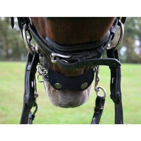 Comfort XS Patent Snaffle Bridle, Black Padding with Swarovski Jet Rocks