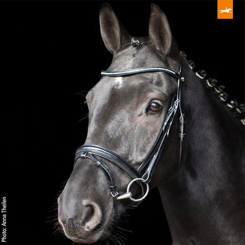 Oslo Snaffle Bridle